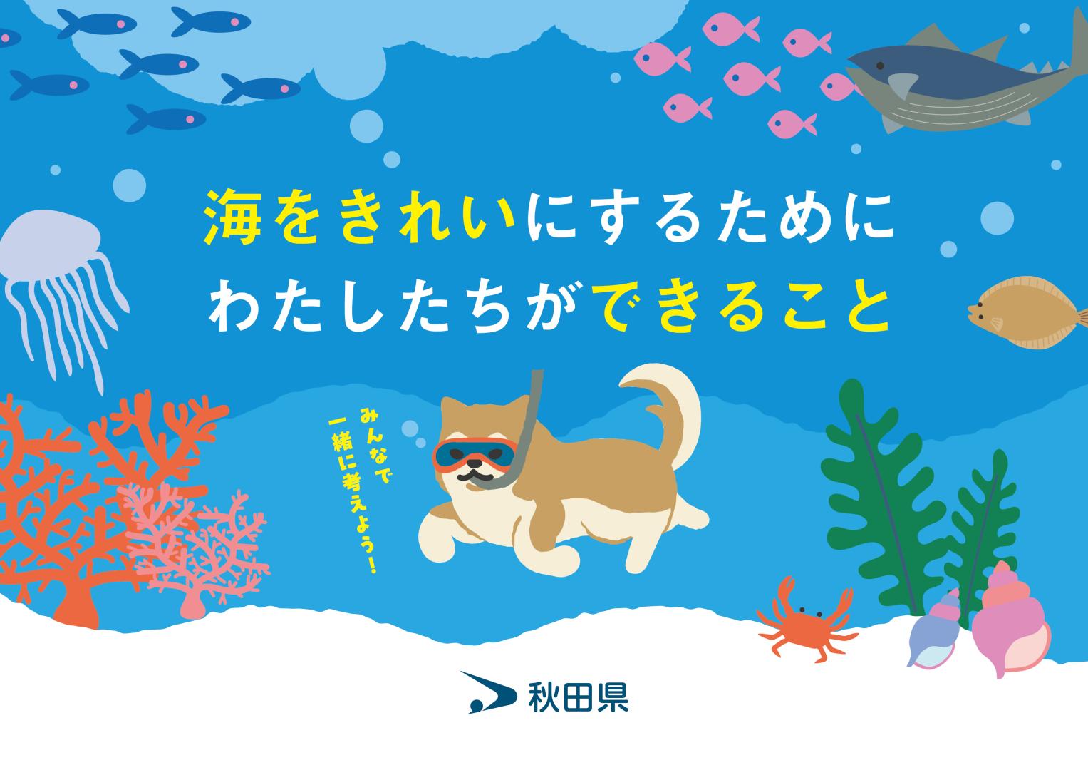 海をきれいにするためにわたしたちができること