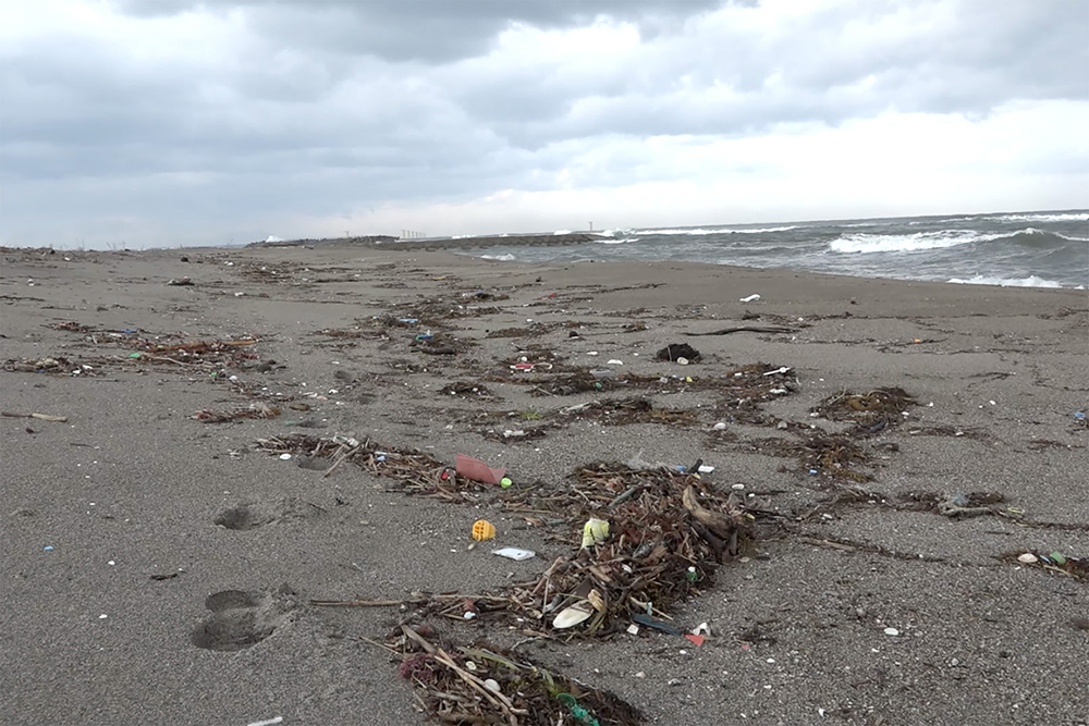 写真:海岸のゴミ