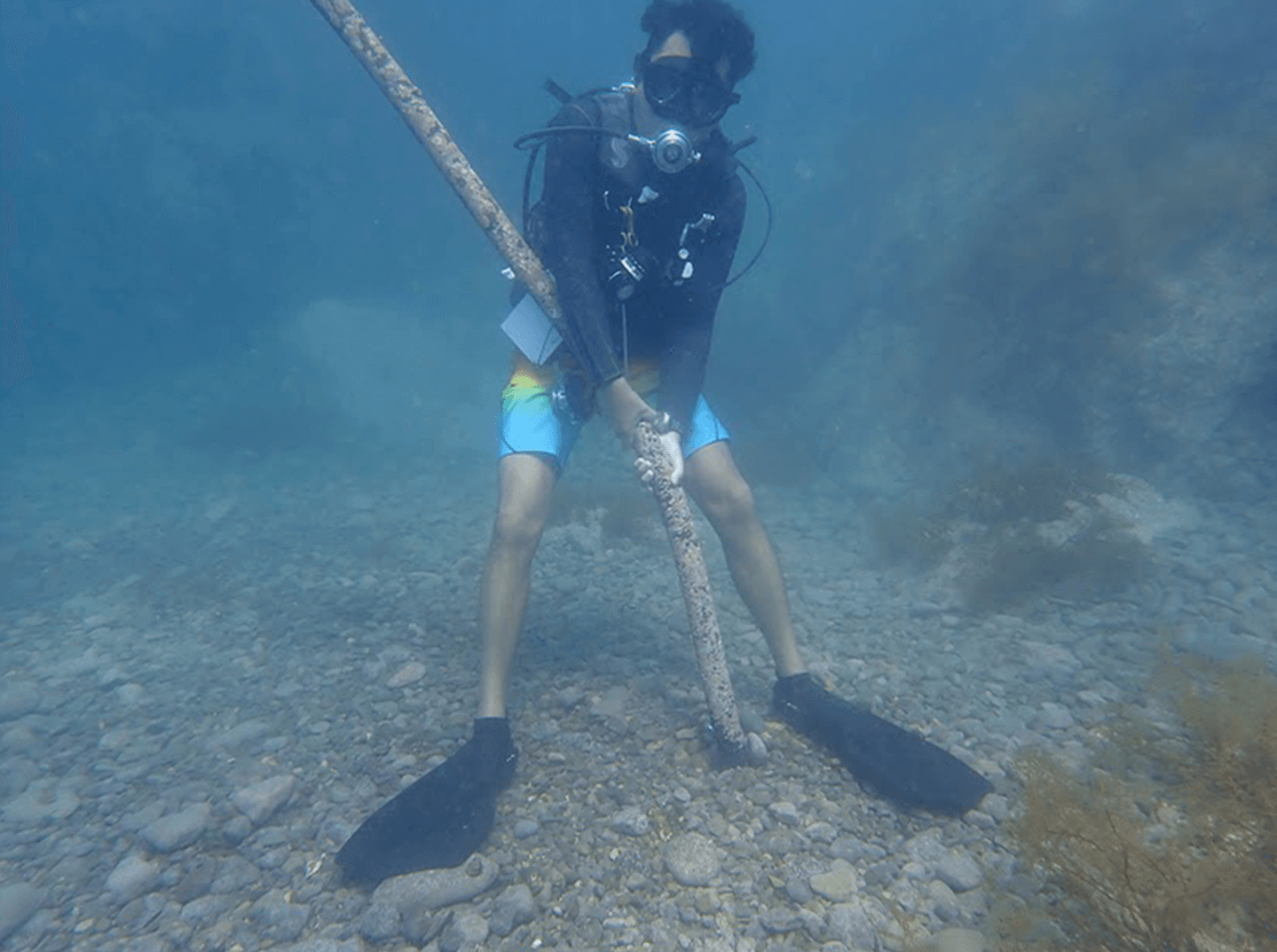 写真:海中のゴミ回収作業